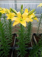 [5047 Cevennes No02.JPG]